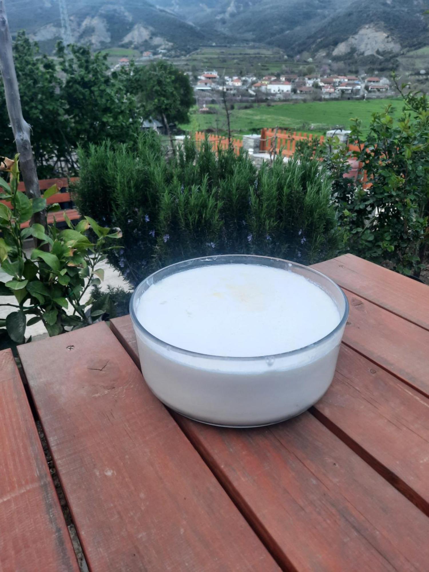 Bujtina Lugina E Vjoses Përmet Exterior foto