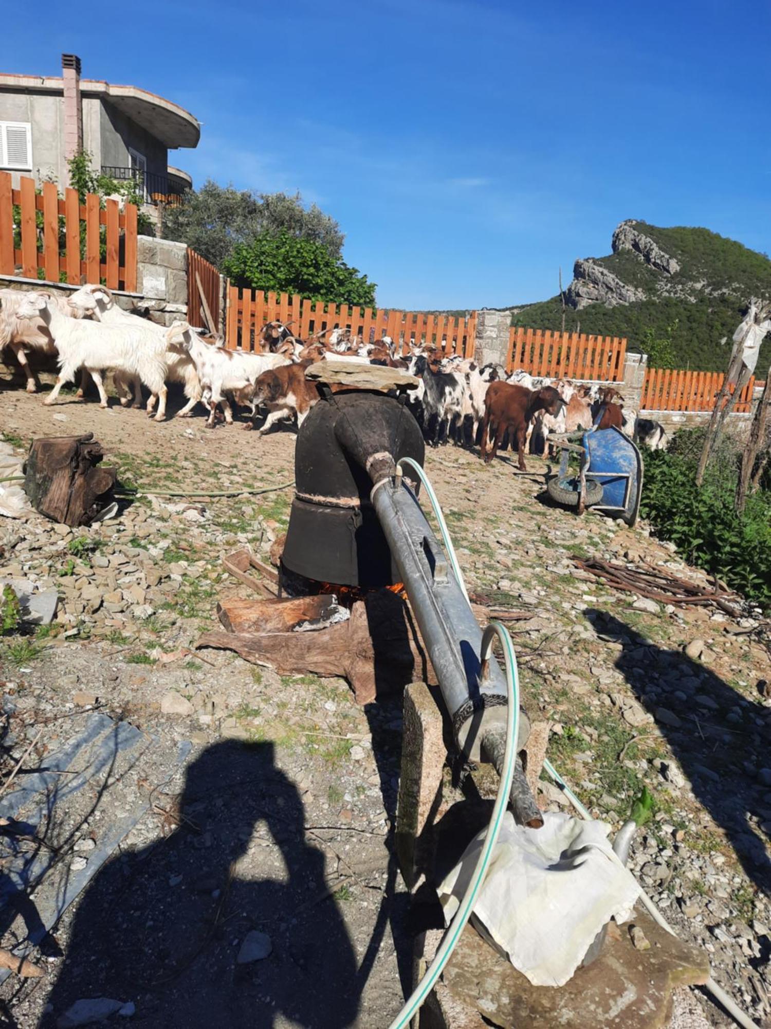 Bujtina Lugina E Vjoses Përmet Exterior foto