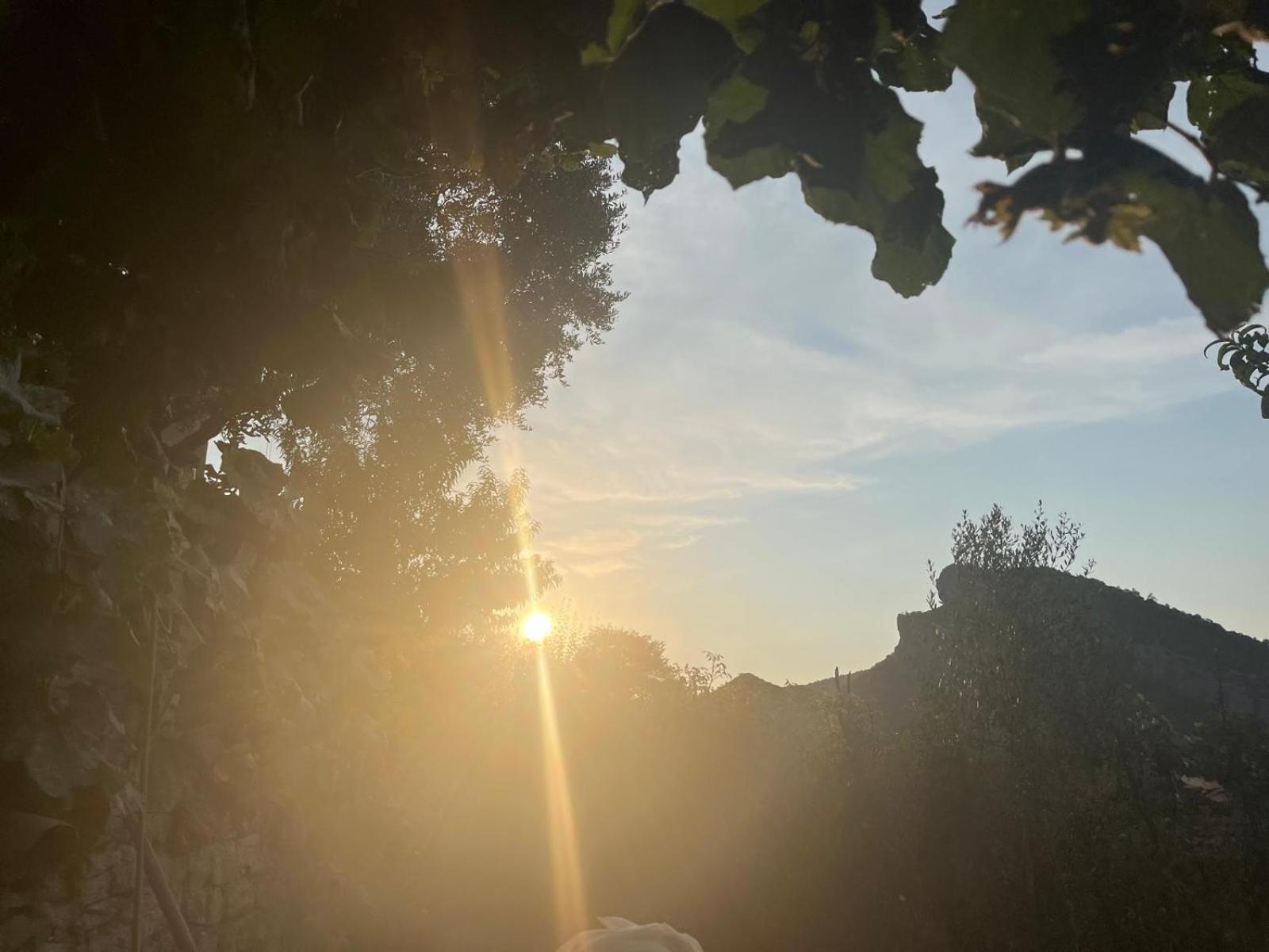 Bujtina Lugina E Vjoses Përmet Exterior foto